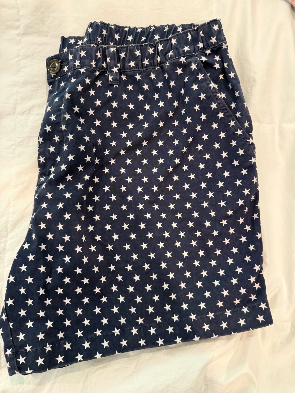 Chubbies Navy Blue Flag 5.5” Shorts